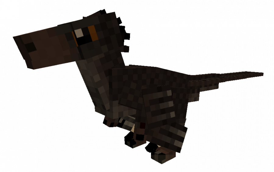 balaur-male.png